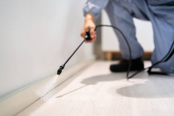 Professional exterminator conducting IPM assessment in Medina